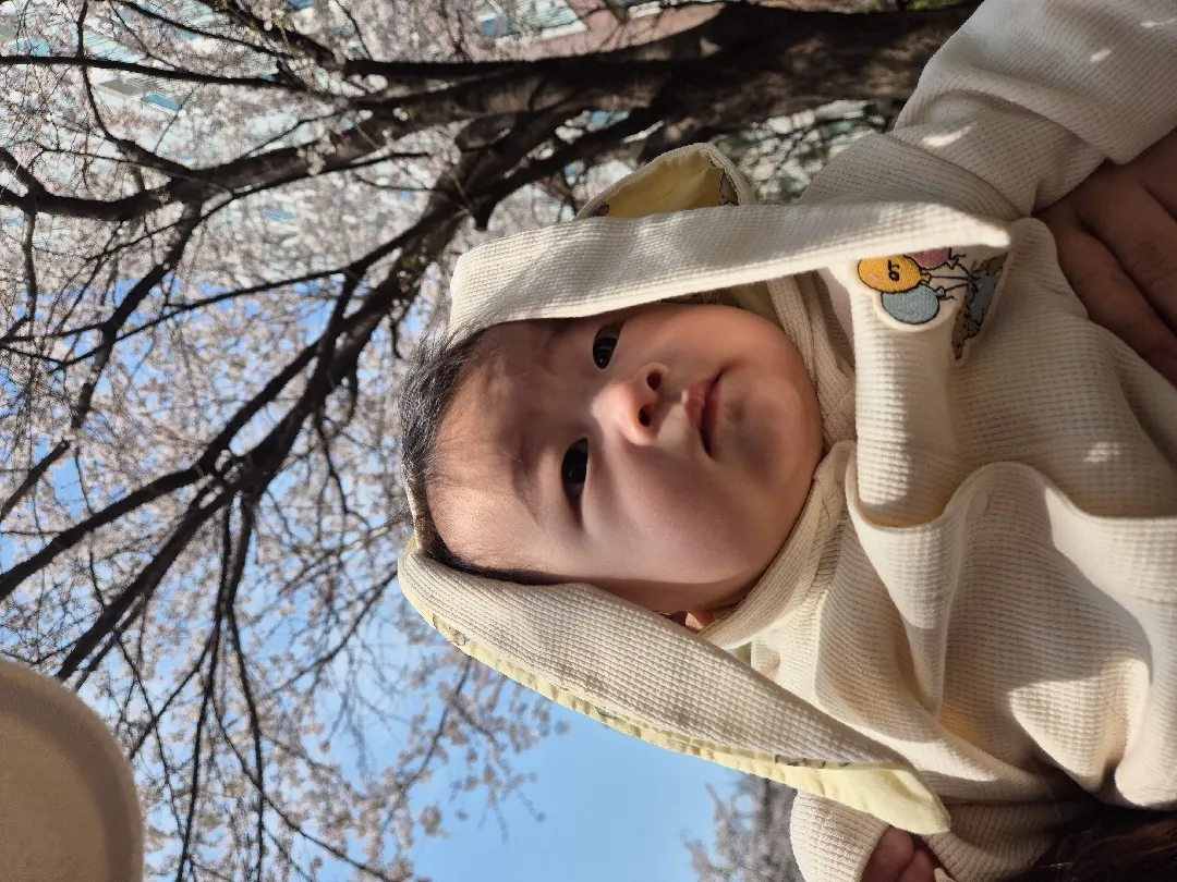 사진 찍기 힘드네요 ㅋㅋㅋㅋ