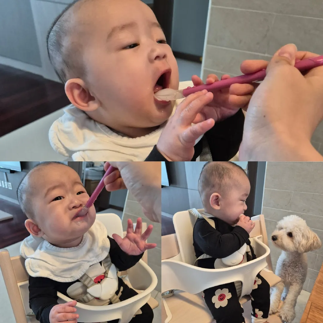 동자승의 이유식 적응기 ㅋㅋㅋ