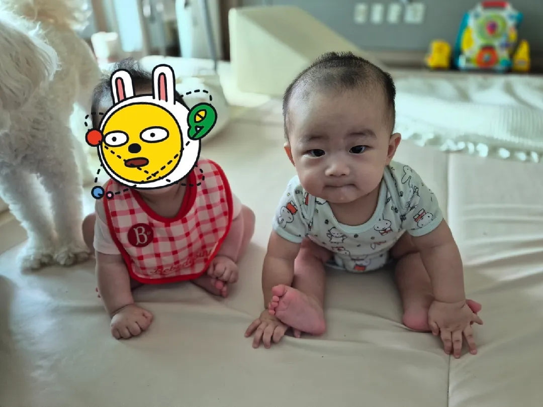 손님이 왔다갔어요