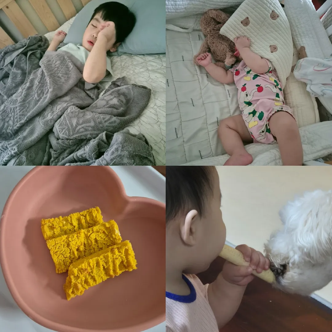 하 결국 열이 왔네요