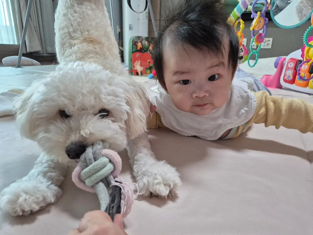 개엉아랑 닮았나유