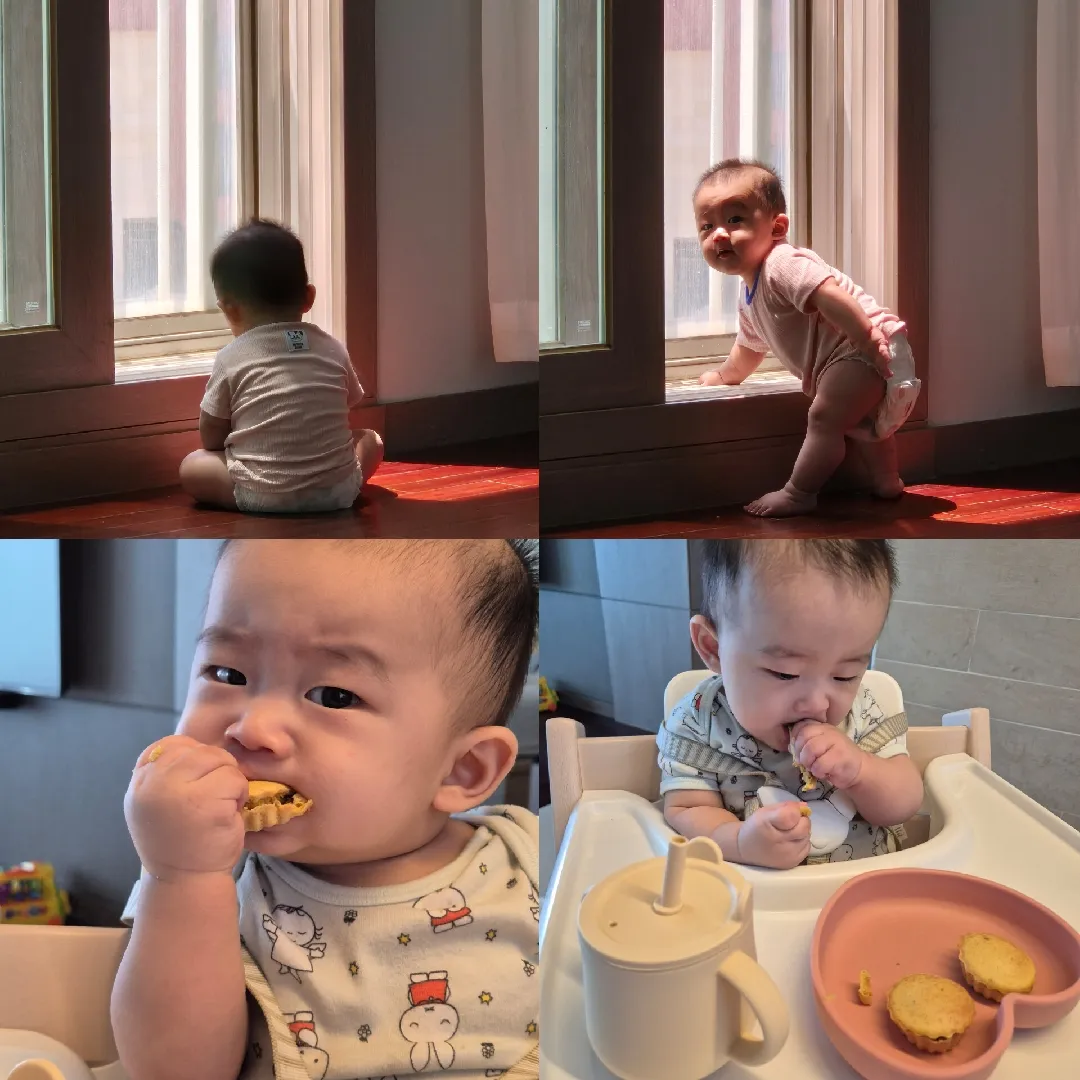 날이 너무 덥네요