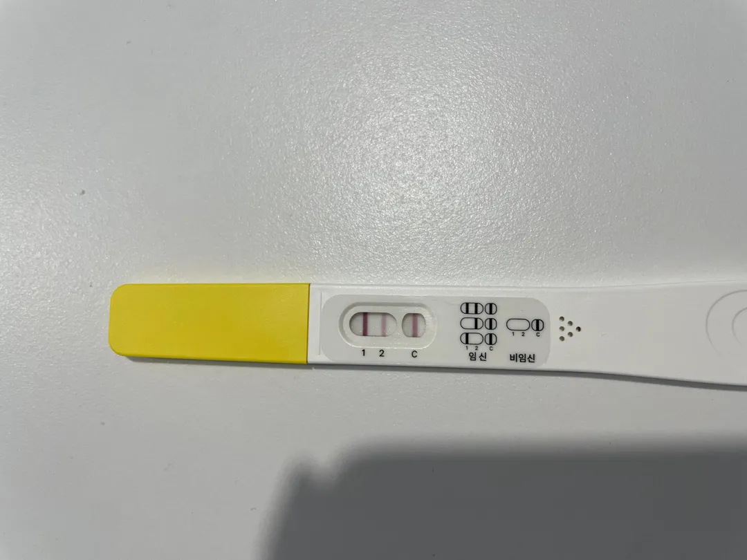 6주 0일 파이널임테기 반응