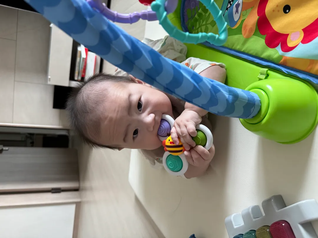 쌀오트밀 3일 지나자마자 쌀떡뻥줬는데 왜안먹죠!