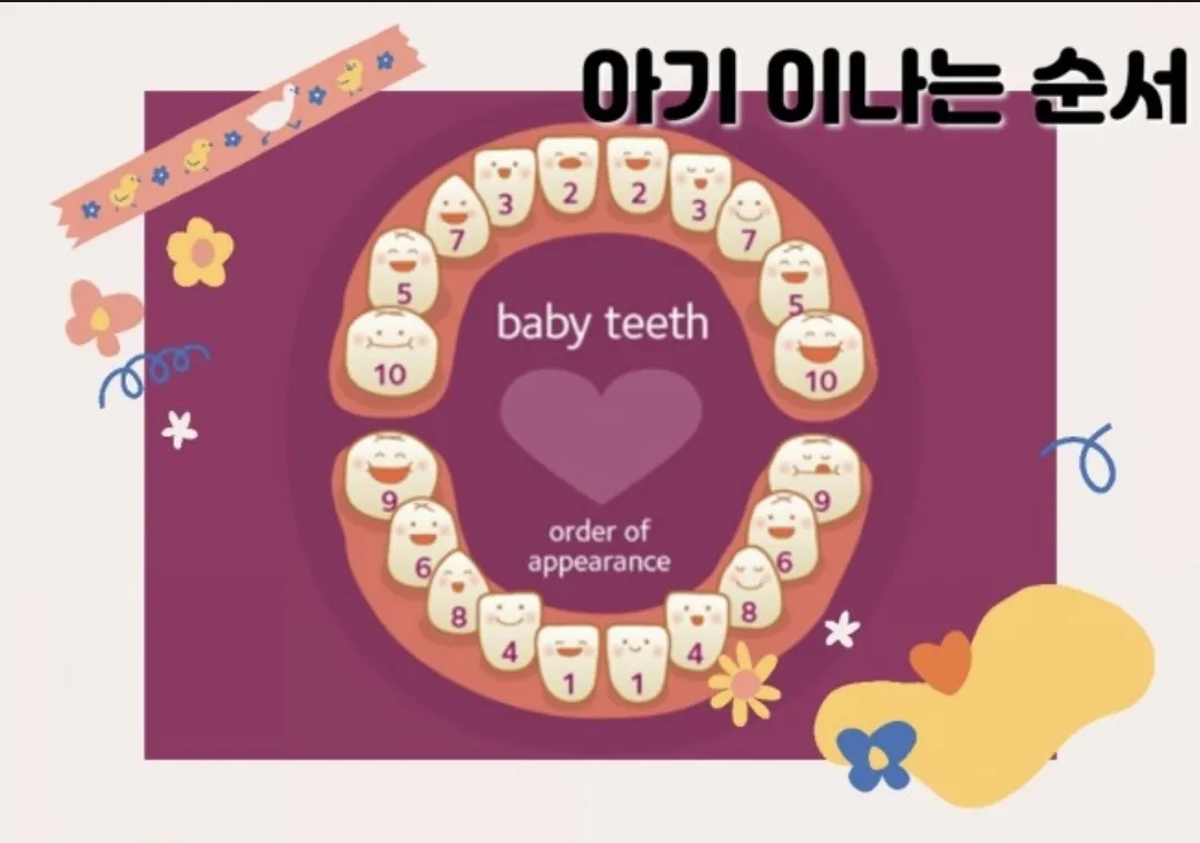이 나는 순서