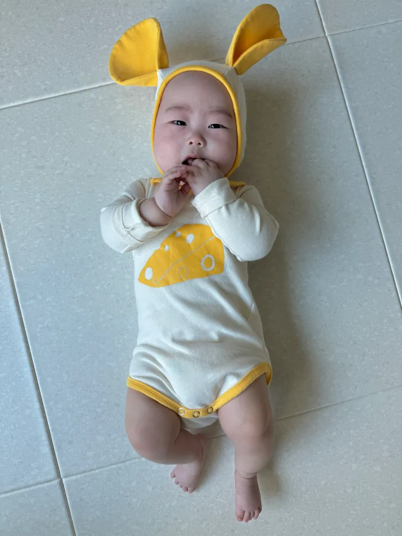 새앙쥐 한마리 등장이요🐹🧀