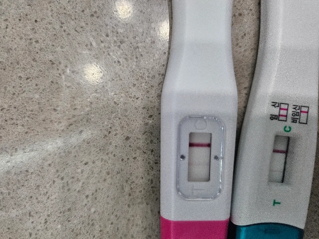 임신일까요?