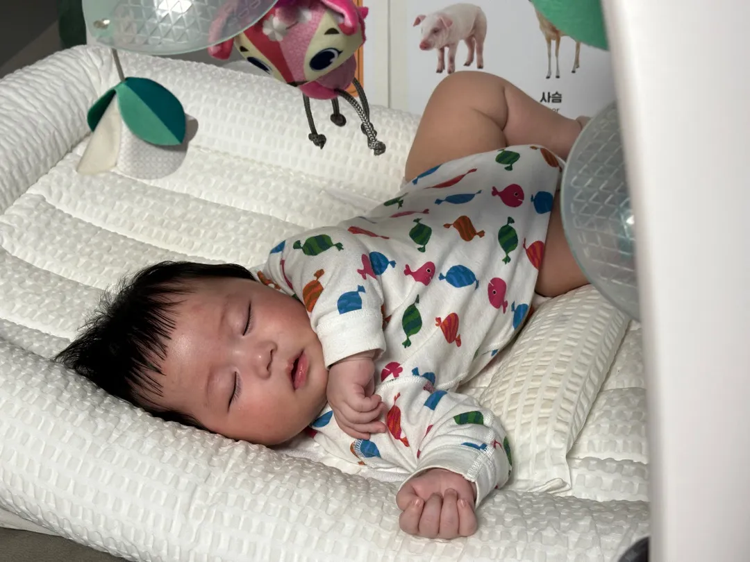 갑자기 낮잠 잘잠..(?)