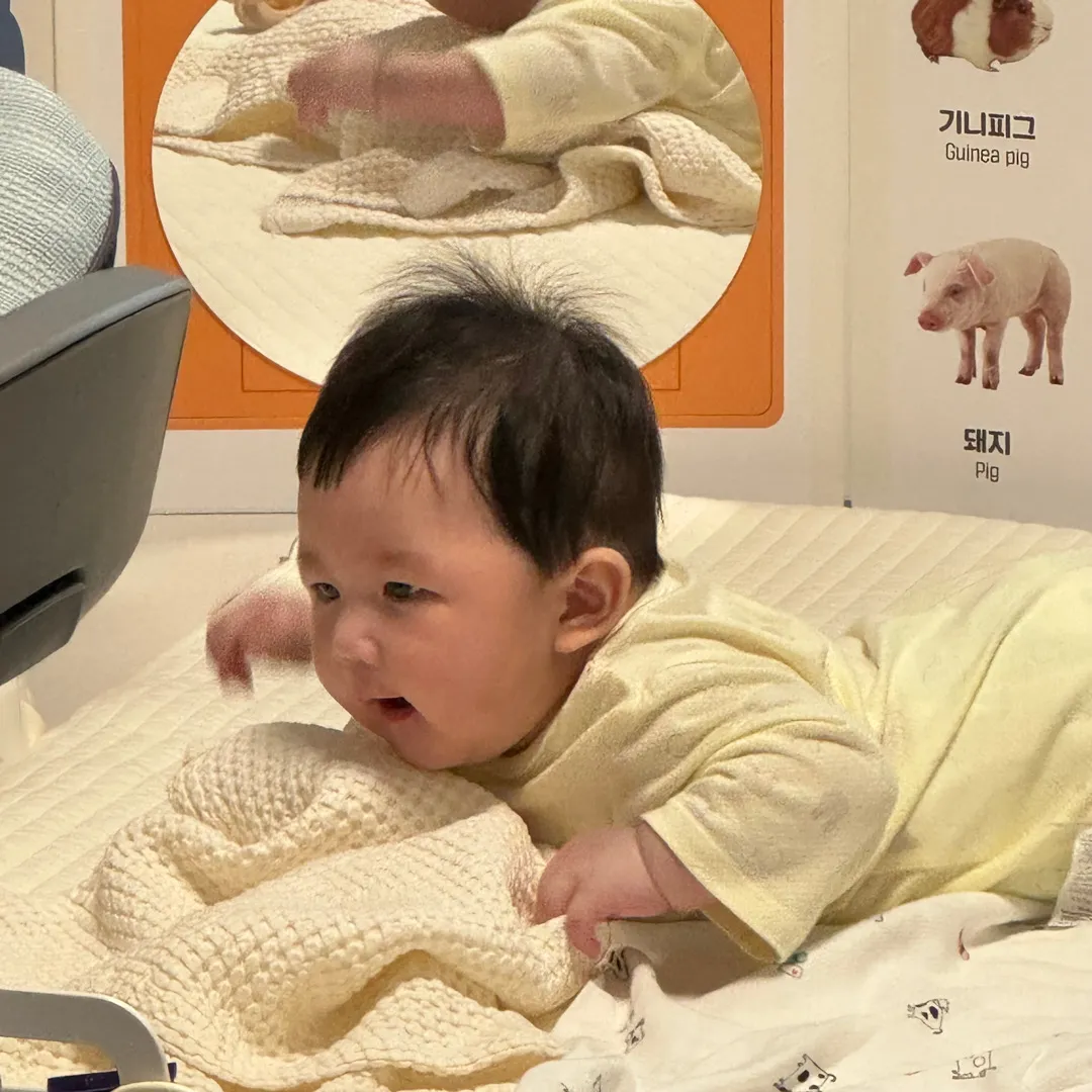 댕신난 맑음이