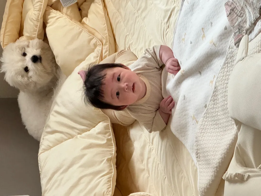 첫 뒤집기 못봄 ㅠㅋㅋ