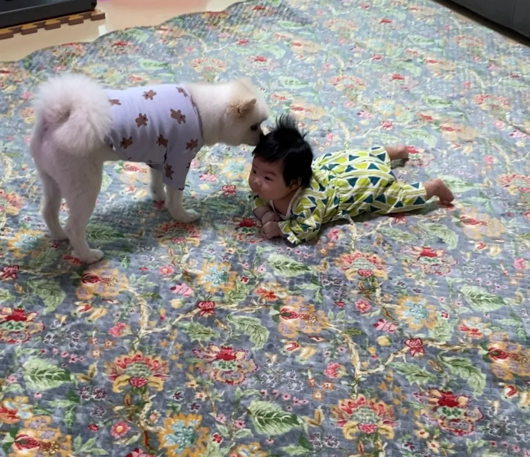 터미타임방해꾼