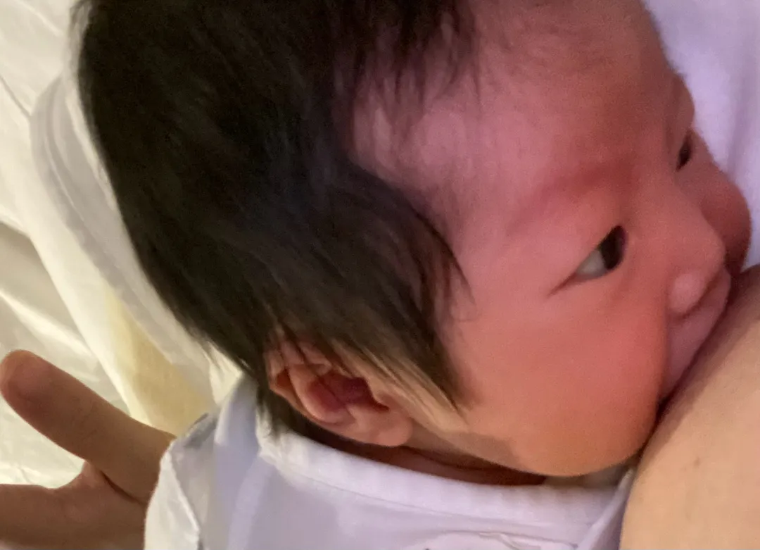 태어난지 6일 호르몬노예