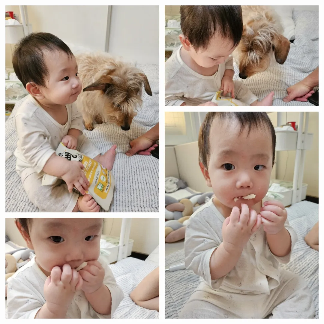 힘겨운 아침의 치즈전쟁(?)..애개육아하시는 분들 어떻게 지내십니까?🤣