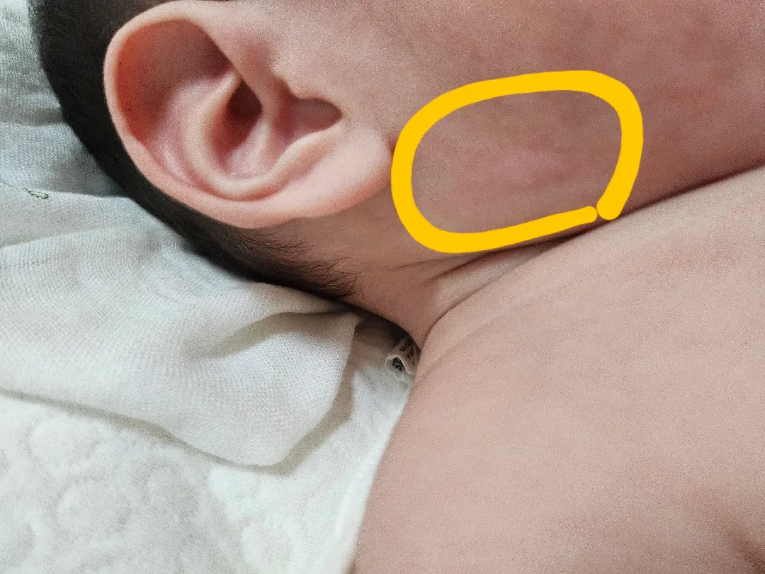 베동분들 이거 뭐같으세요,,,???
