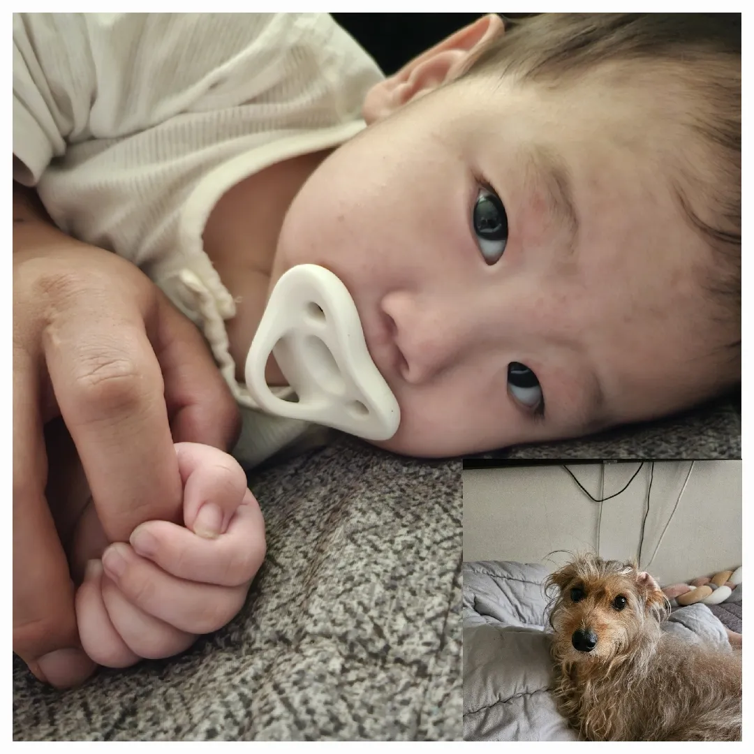 잘생긴 아들들 보며 힘내기(?) 오늘 하루가 끝이 나질 않네요 😂