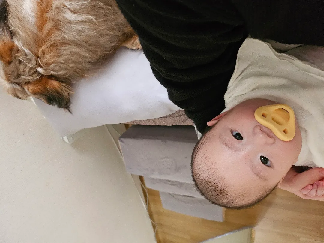 116일차,,,이 시기가 엄껌 시기인가요?😭