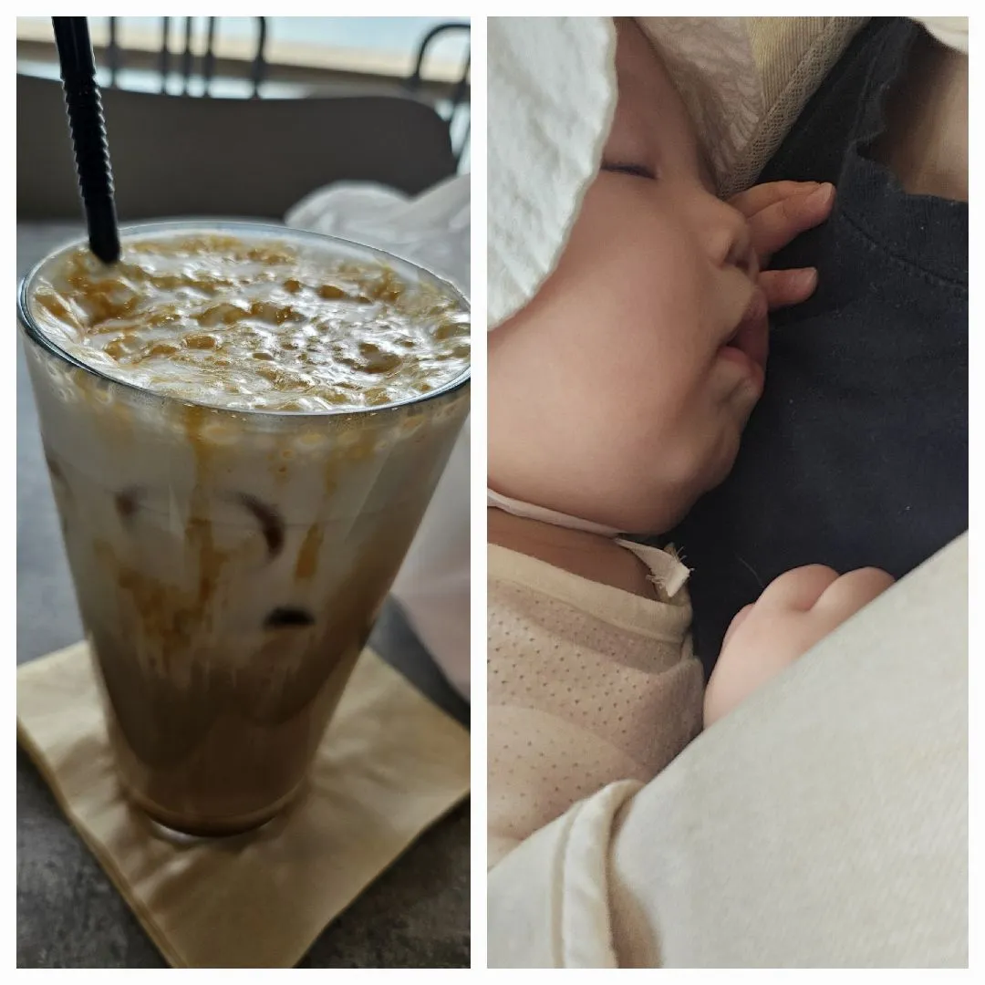 모찌모찌한 가오니데리고 카페왔어요오☕️
