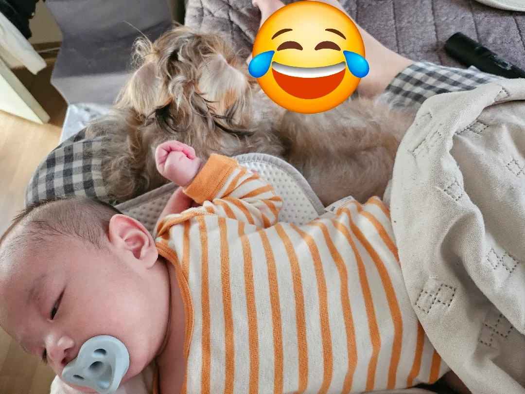 아이고 내 팔자야..😂 애개육아하시는 분들 힘내십쇼,,,