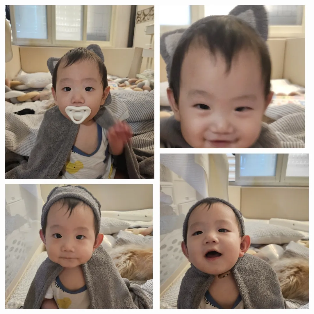 개엉아 목욕가운을 입혀보았어요(?) 🤣