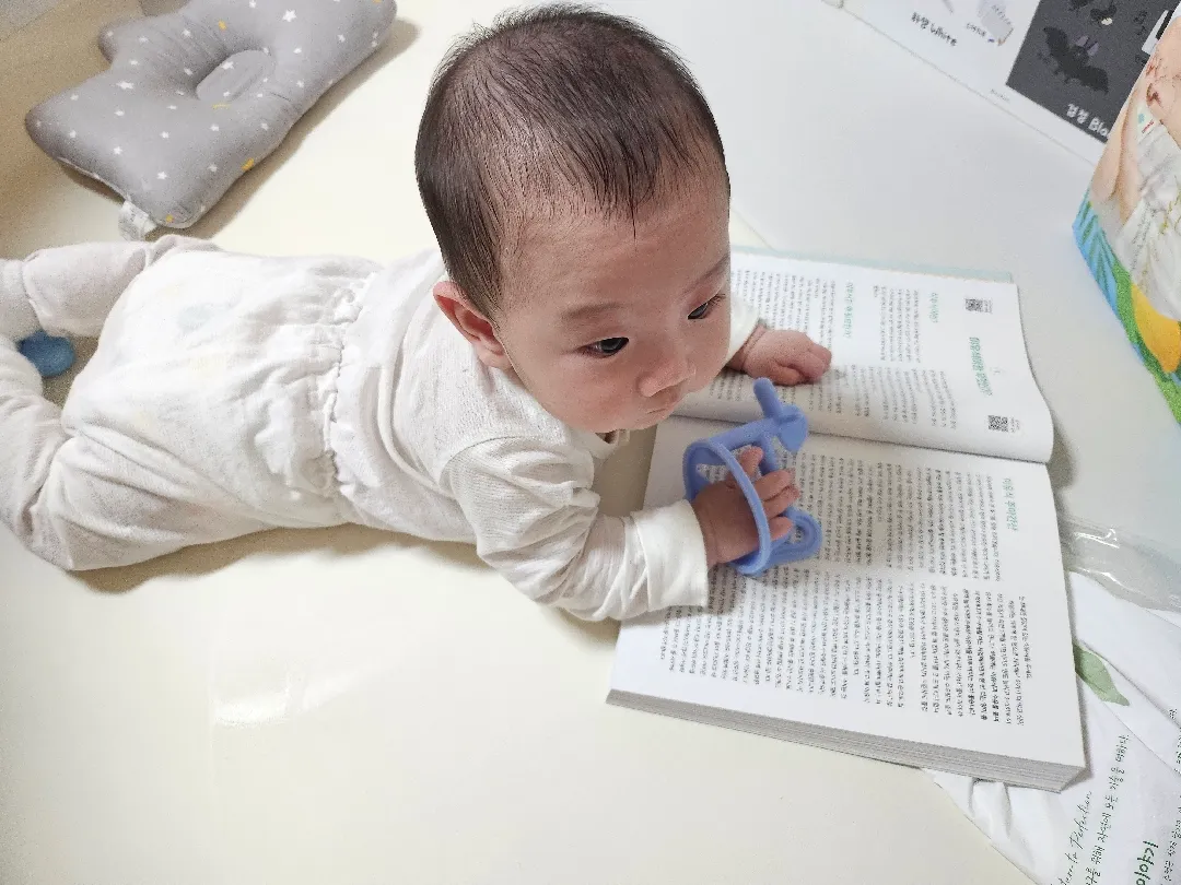 가오니에게 이유식 책을 보여줘봤어요 🤣