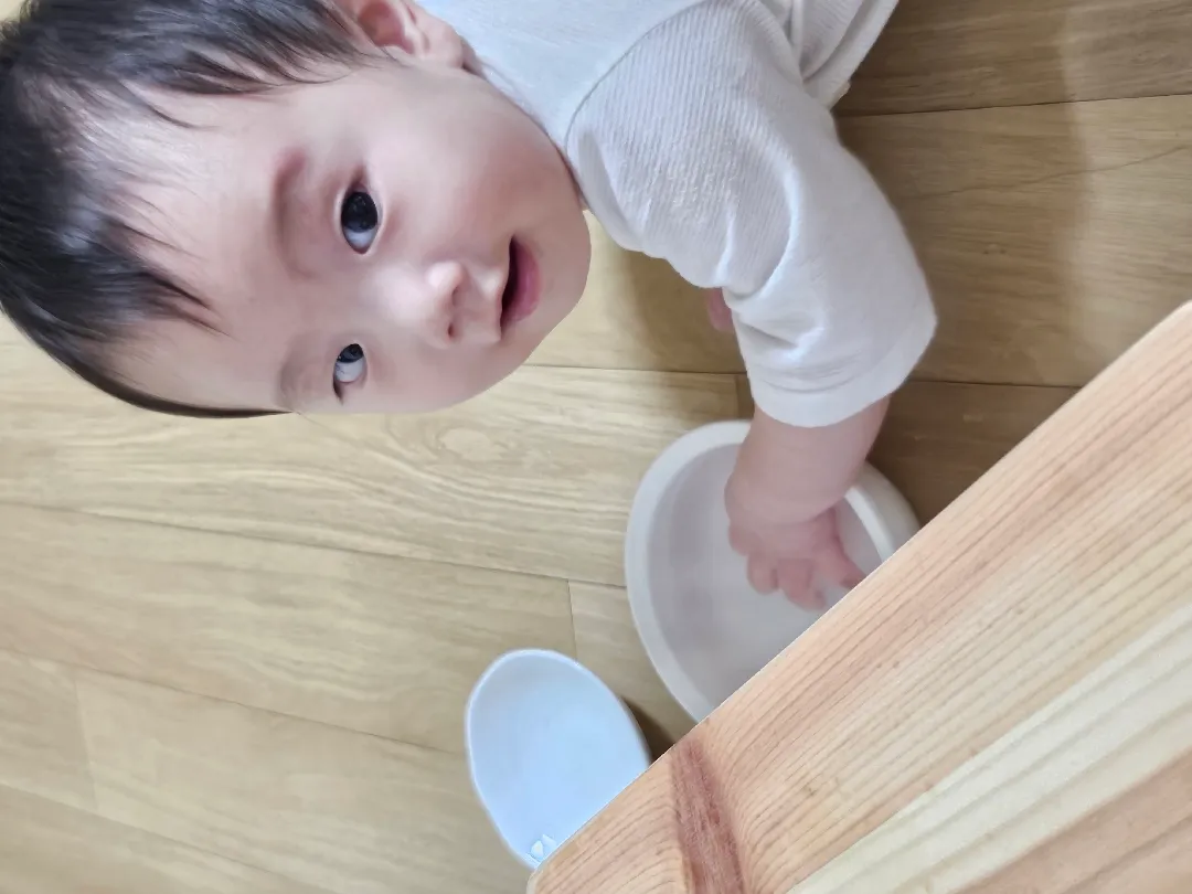 가온이 이유식/분유 하루 수유량 괜찮은지 봐주세욤!