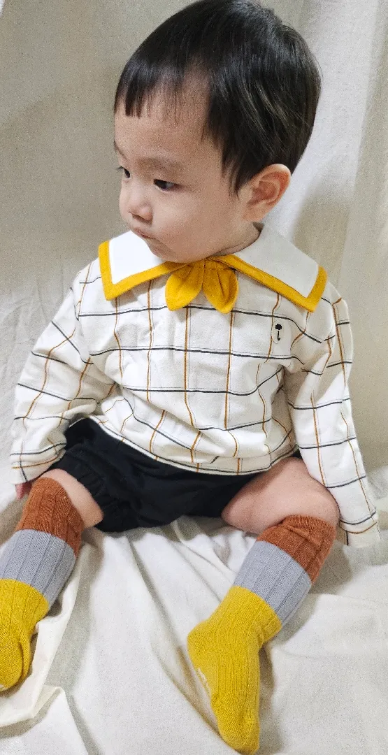 가오니 첫 미용했어욤 👼