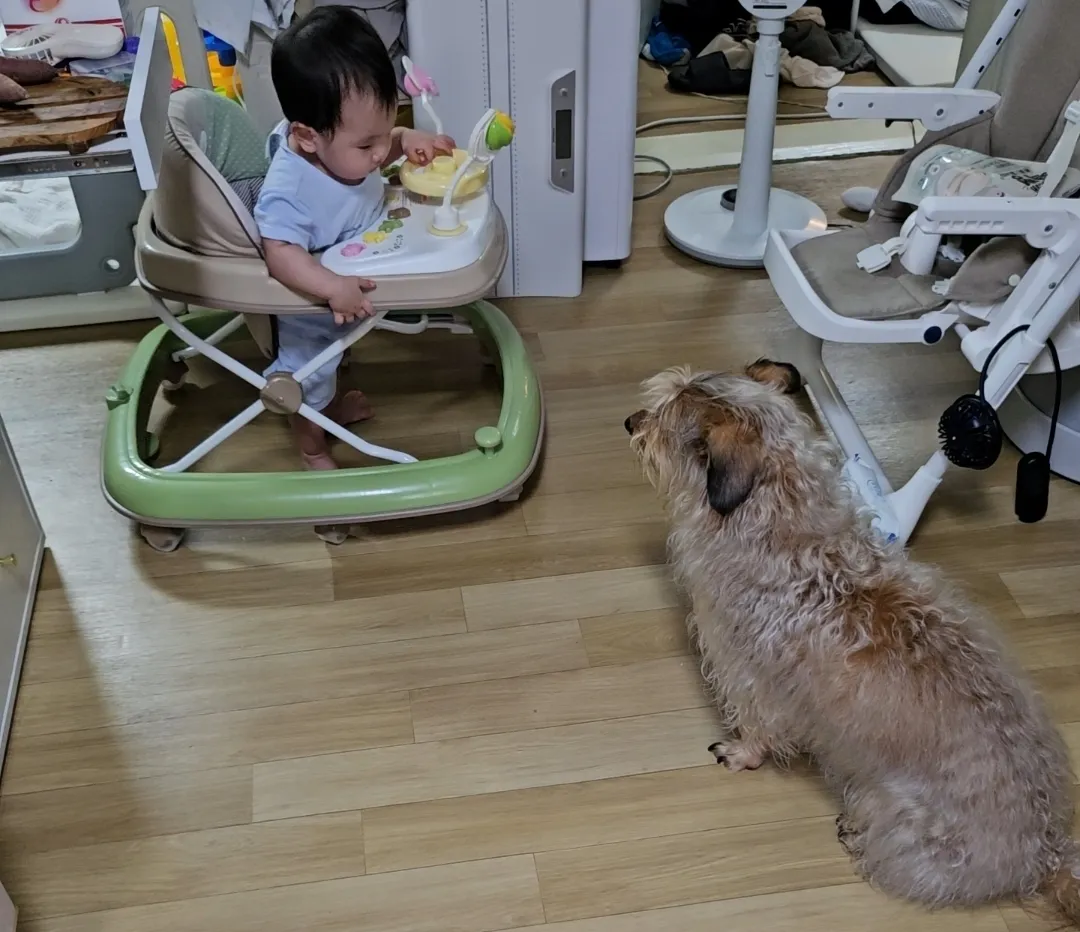 반려동물과 육아,,, 안녕하신가요 🥹