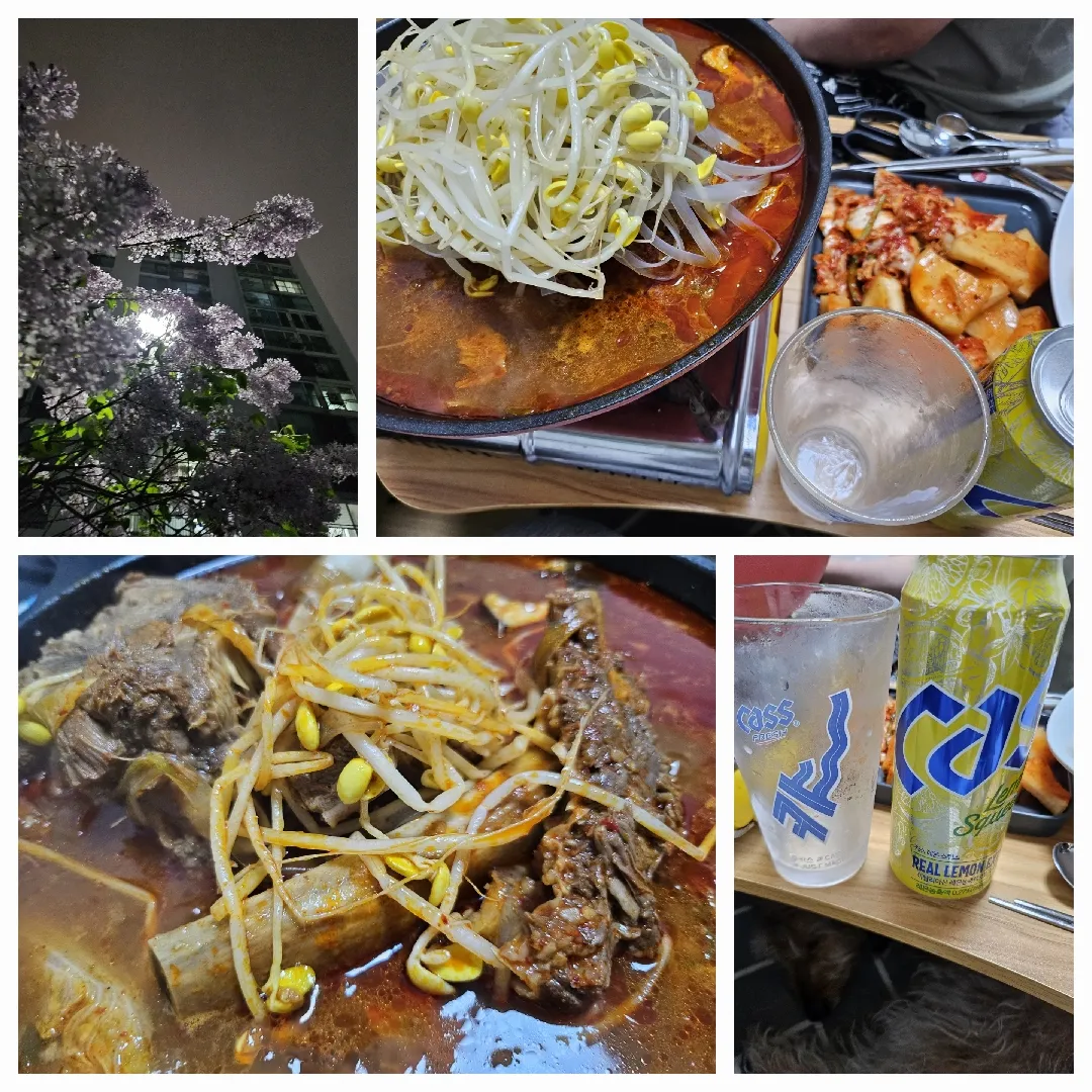 육퇴.... ☔️💜 +맥주 추천!!!!?