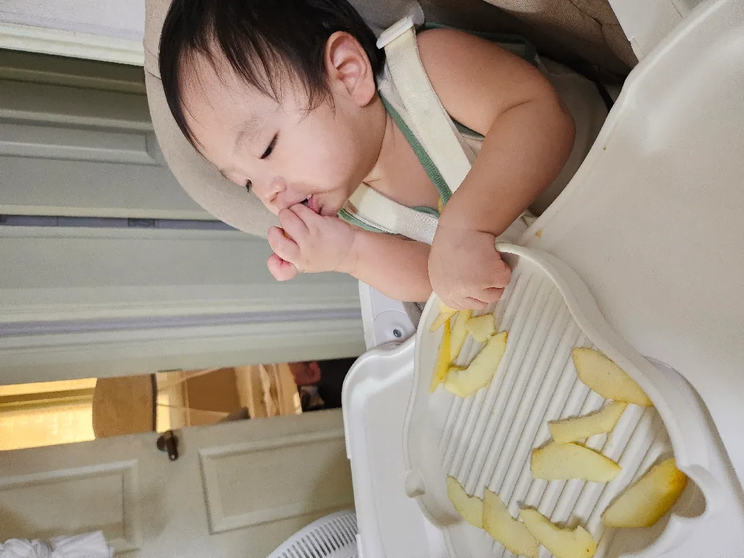 하루종일 졸려하는 아기(?)🤔💤
