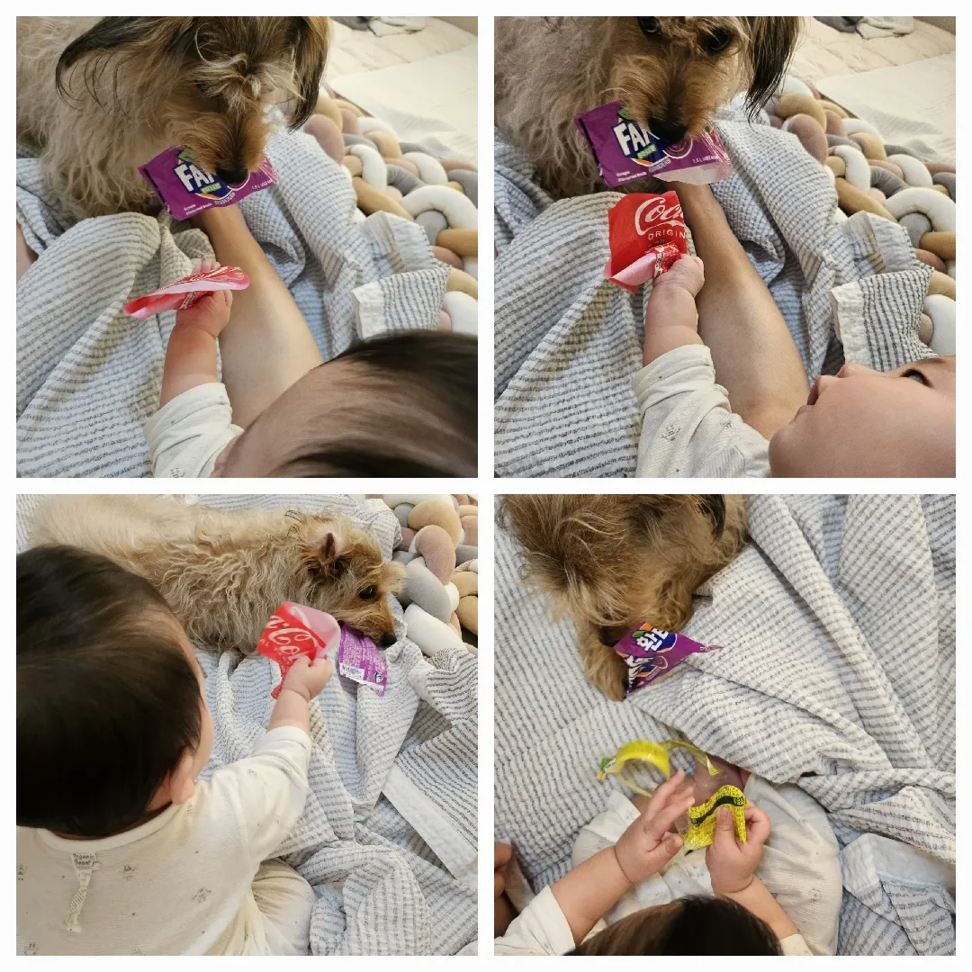 아침부터 고맙다 얘두라,,,🤦‍♀️