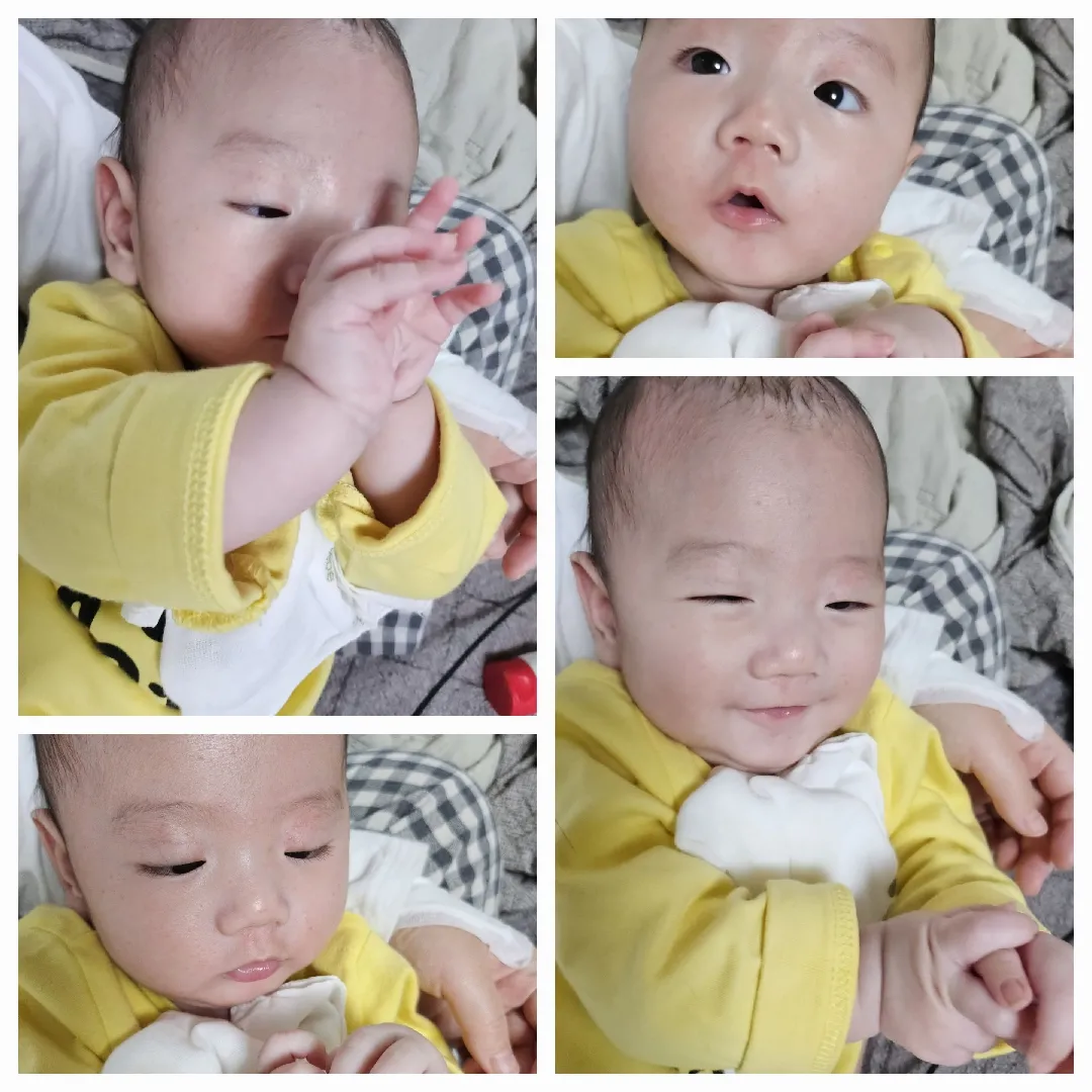 요즘 두손 모아서 자꾸 입에 가져갈라는데 넘 귀엽네요,,🫠💛