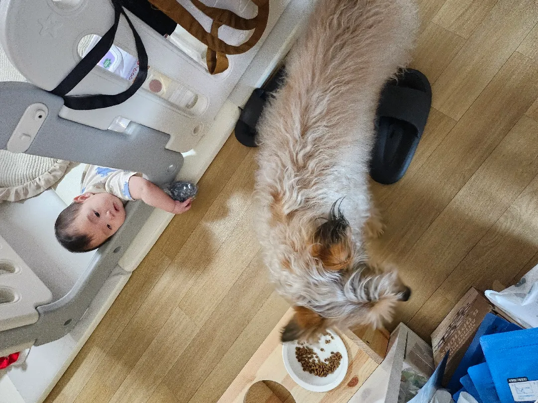 큐브 3개 만들고 나니까 날이 저물었어요