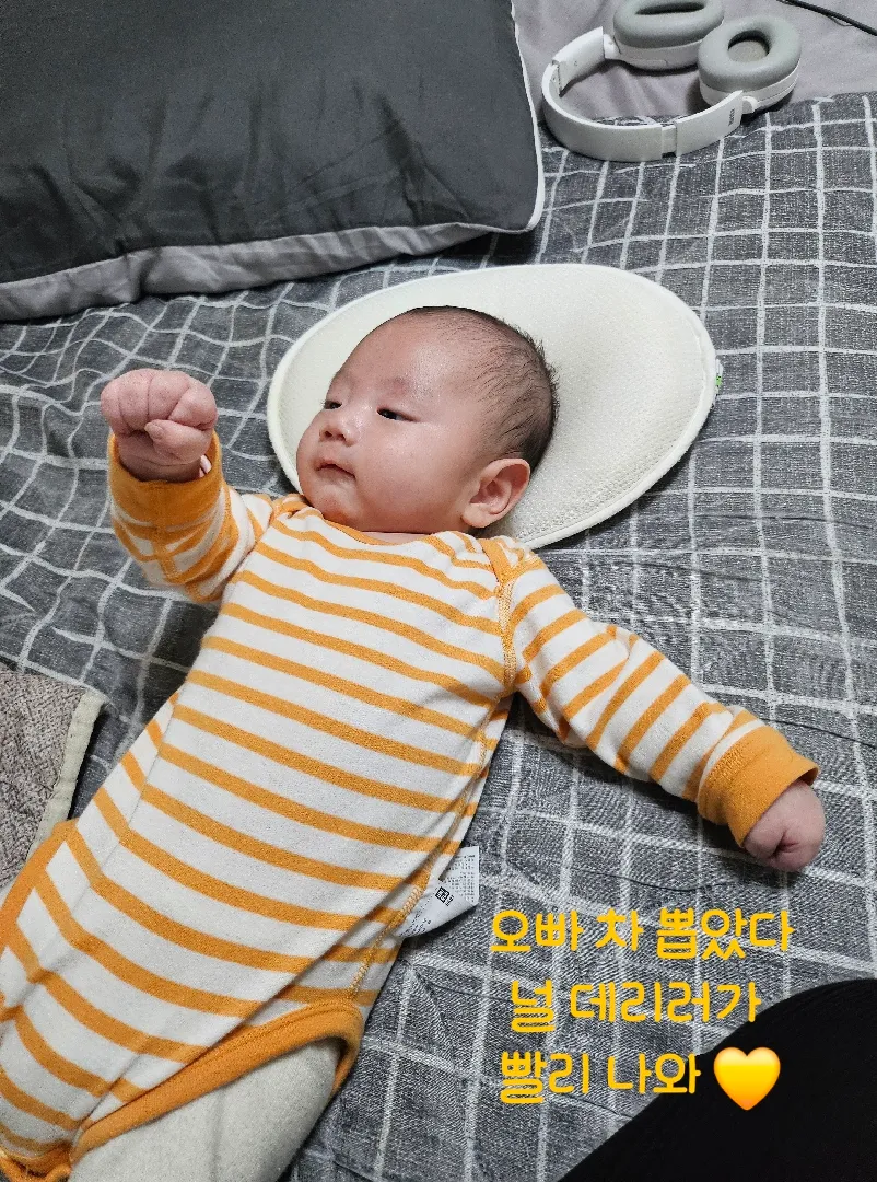 요즘 누워서 열심히 주먹고기 시도하는 가온씨네요...🤣