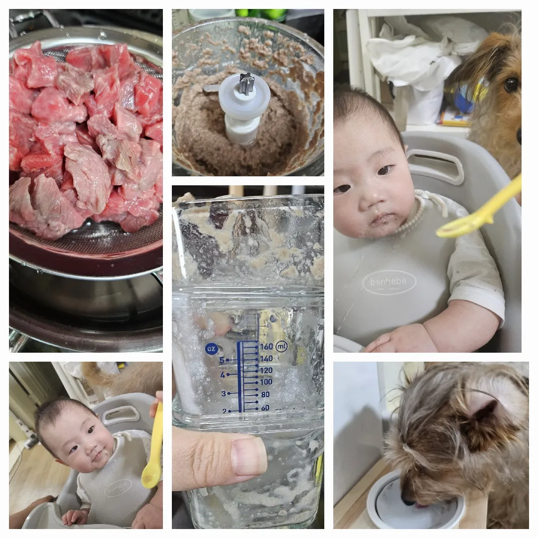 이유식 7일차 생에 첫 소고기..!
