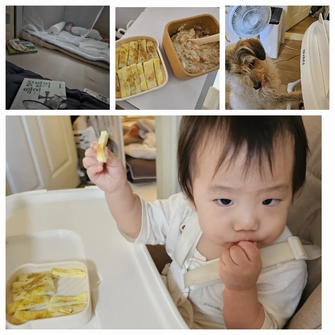 가오니 어젯밤에 쪽쪽이 없이 잤어요 !!!🥹 +고민