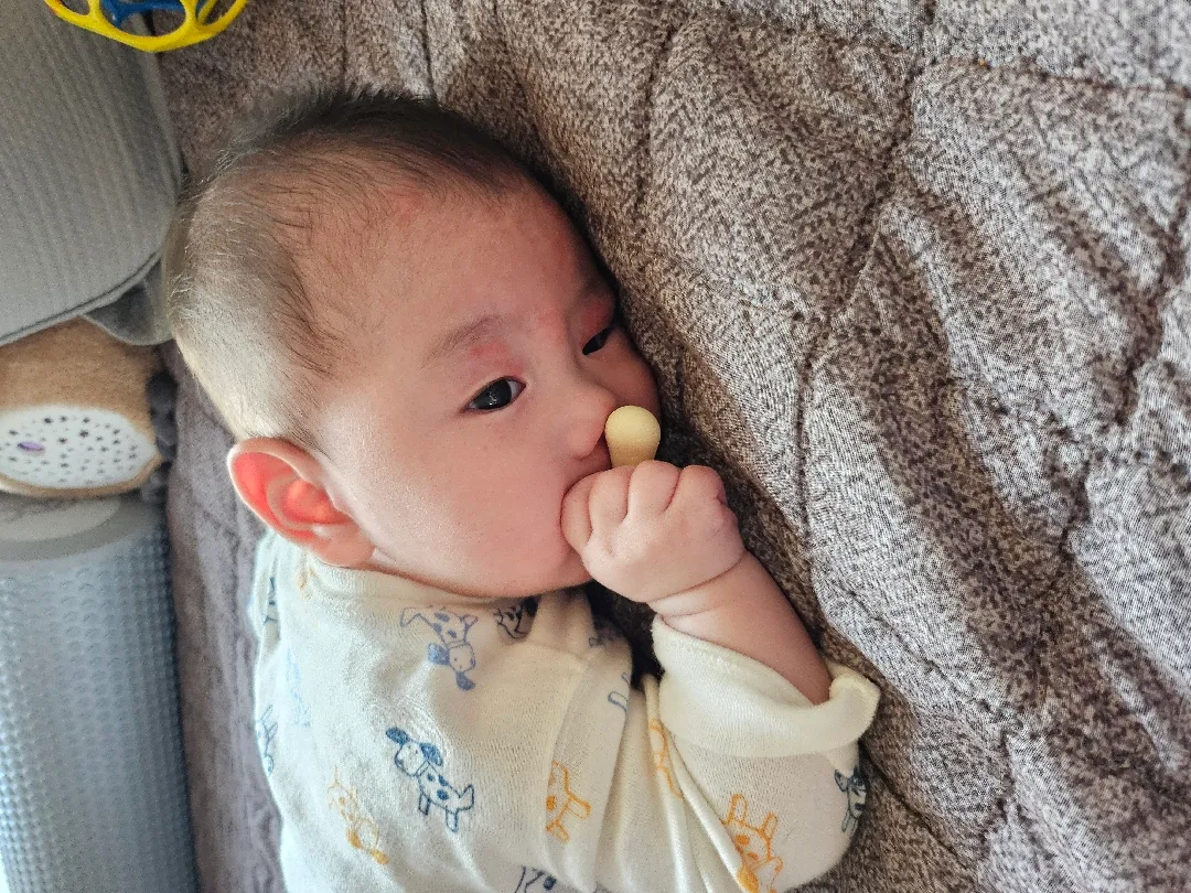 쪽쪽이......즈히 아들은 왜이럴까요 🤣