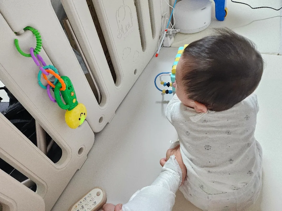 아침부터 열심히 재활중인 가온씨..😭 사경 치료 2일차..!