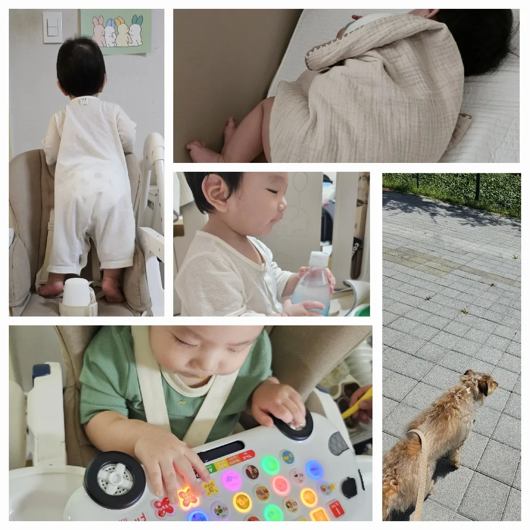 베동이 조용해서 뭐라도 써봅니다(?) 가온이의 오늘 하루는요!!!