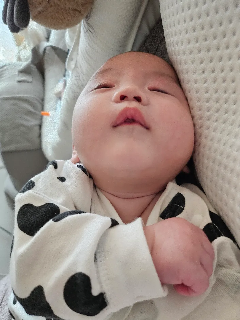 러블리부 덕에 오늘 낮잠도 꿀잠 예약이요 🥹✌️