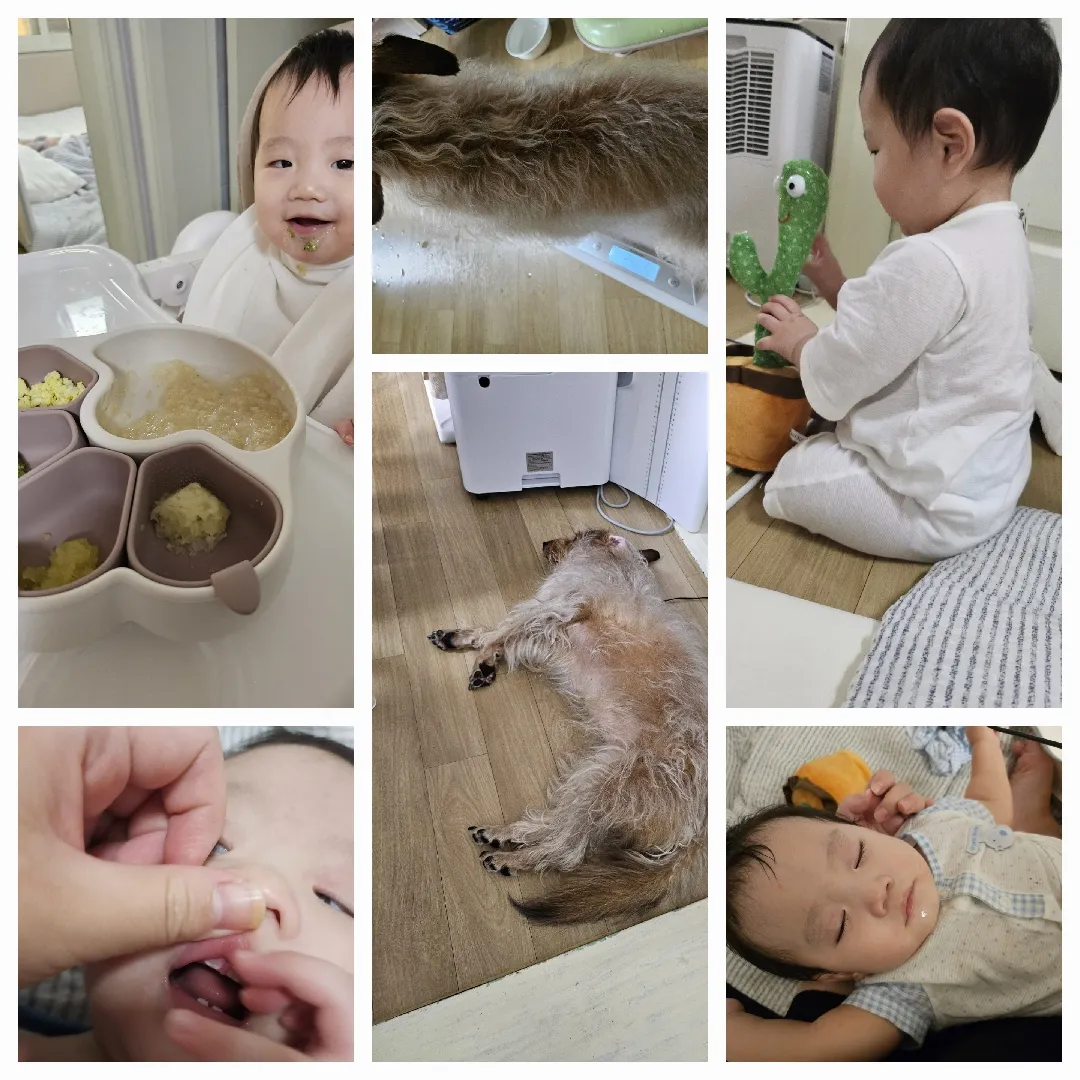 오늘 하루도 끝,,?이게 뭔일이래요.. 막수하자마자 잠들었어요🤧