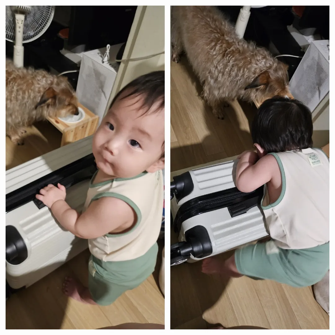 길고 길었던 이틀이 드디어 끝났어요(?)🤣