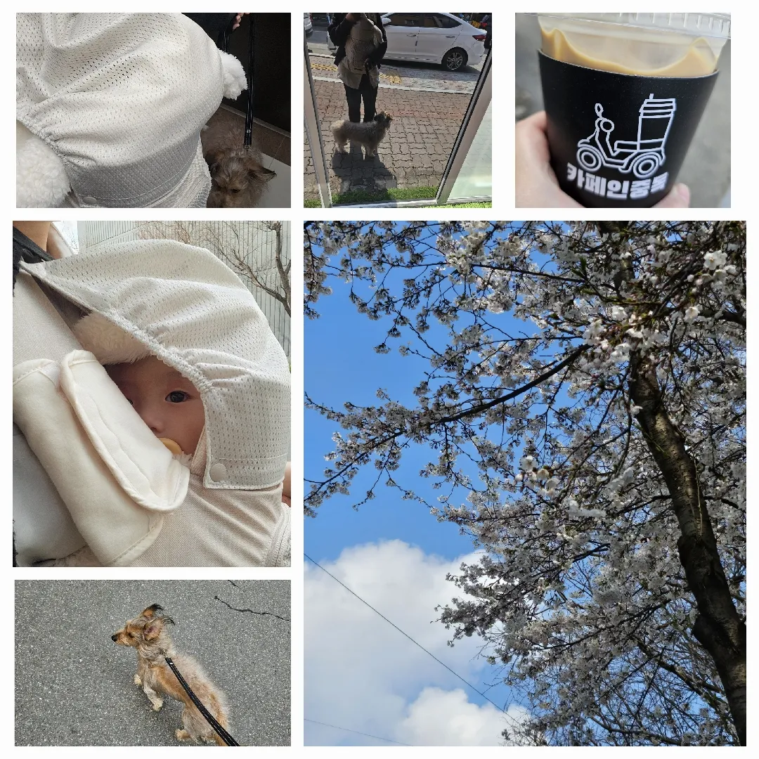 요즘 날씨 너무 좋네요 💛🌸💛