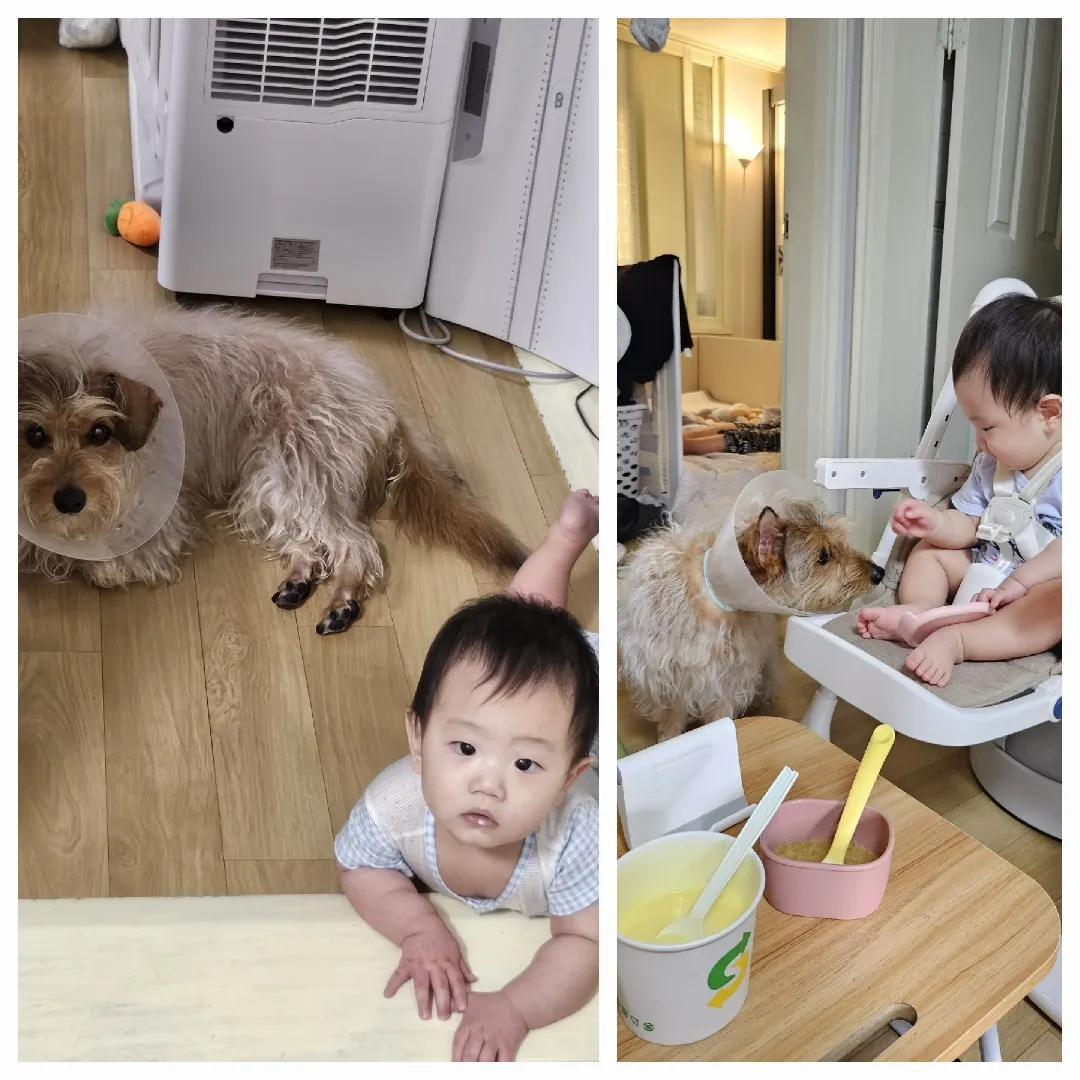 다들 요즘 육아 어떠세요,,?