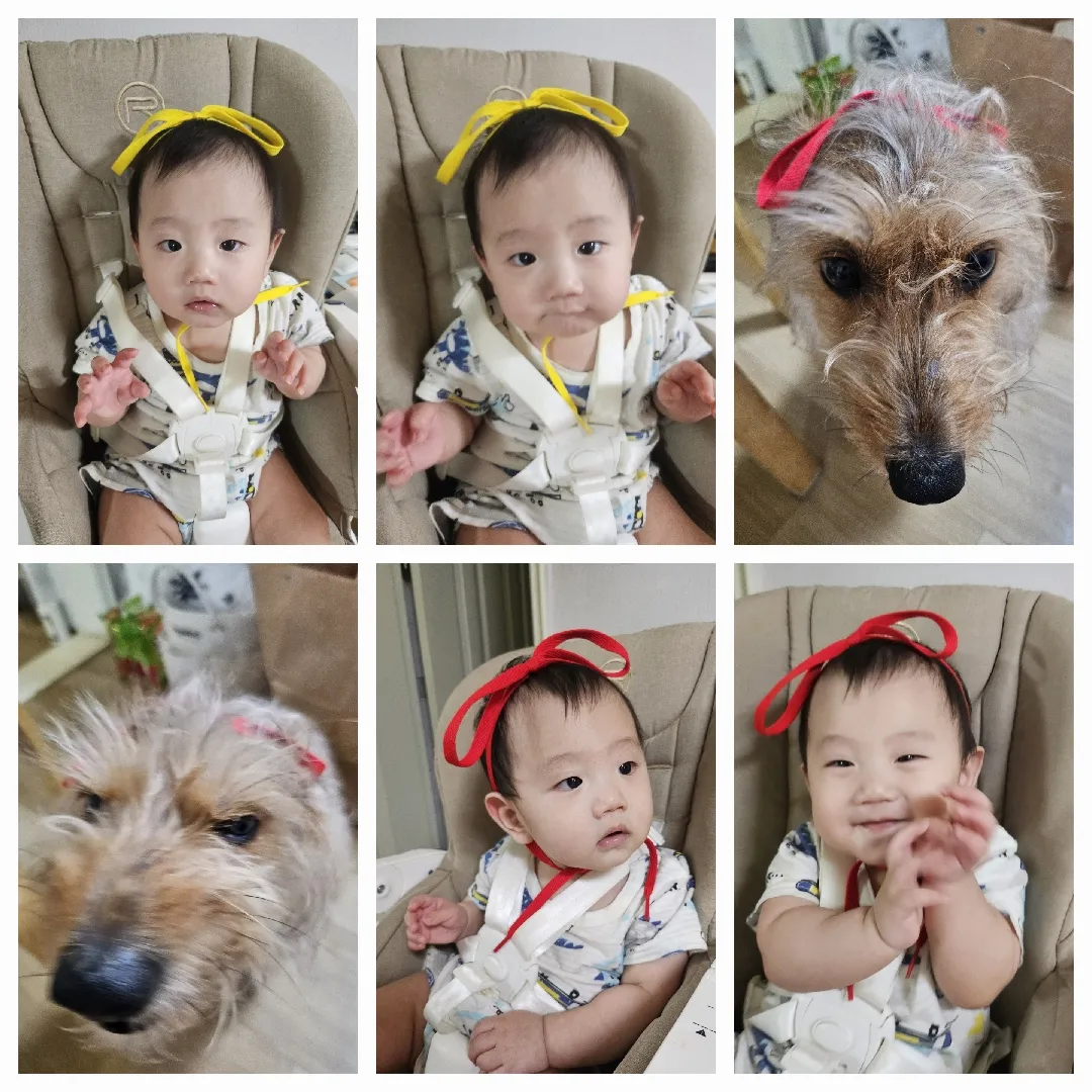 가오나 개아들아 엄마가 미안하다 🤣 엄마도 장꾸인가봐,,,