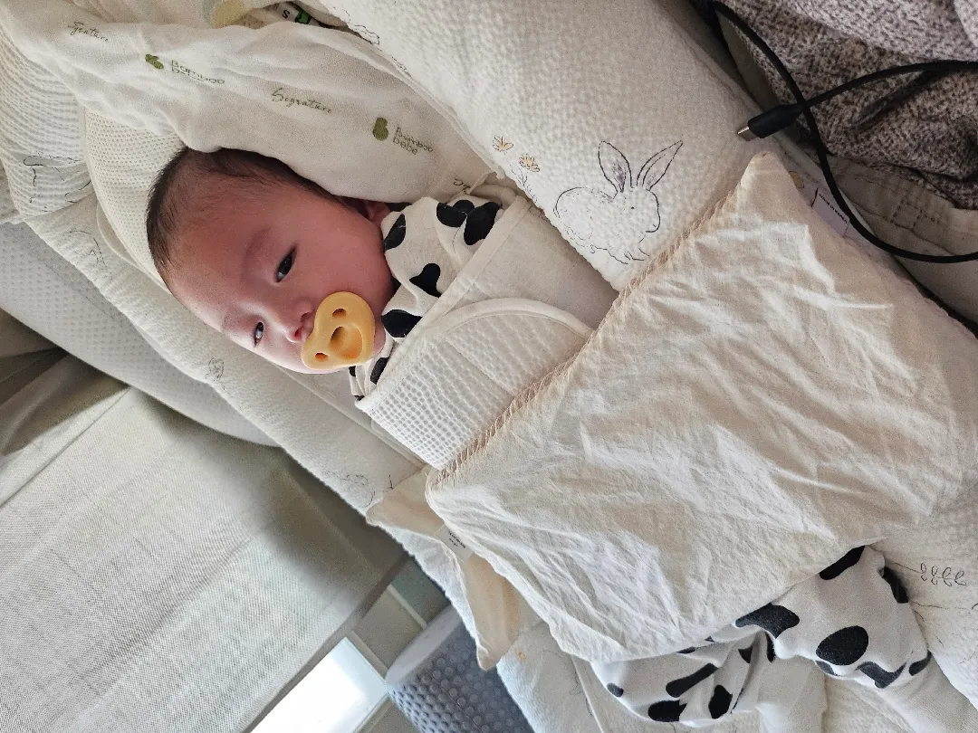 오늘도 감시당하는 이 기분을 지울 수 없...네요 🤣