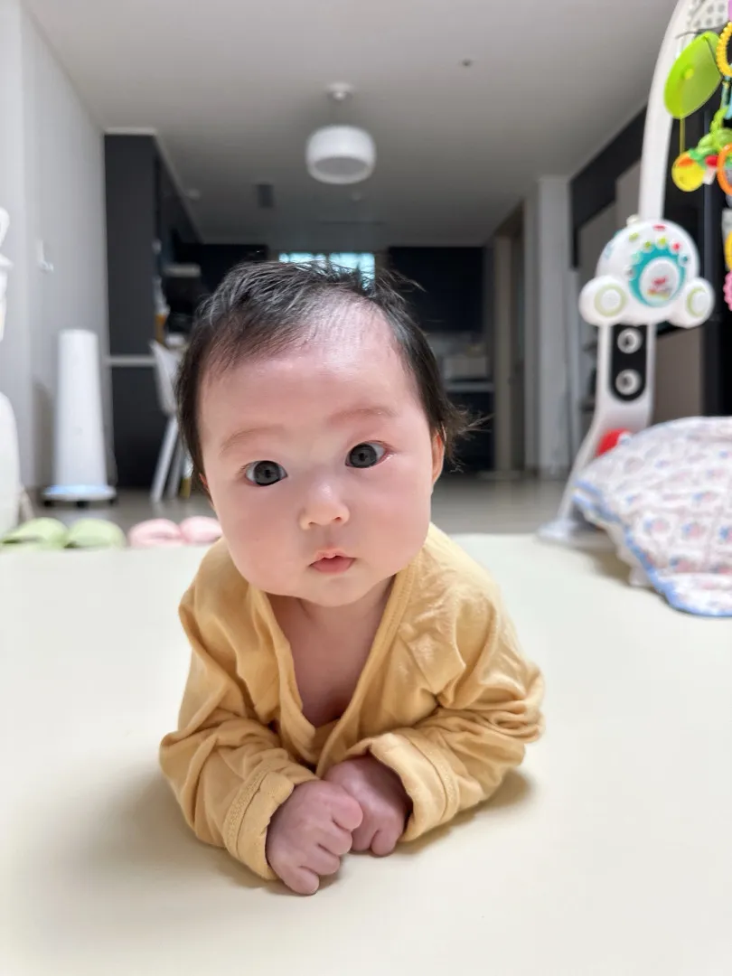 87일차 토봄이도 터미타임 릴레이 참가요🧡