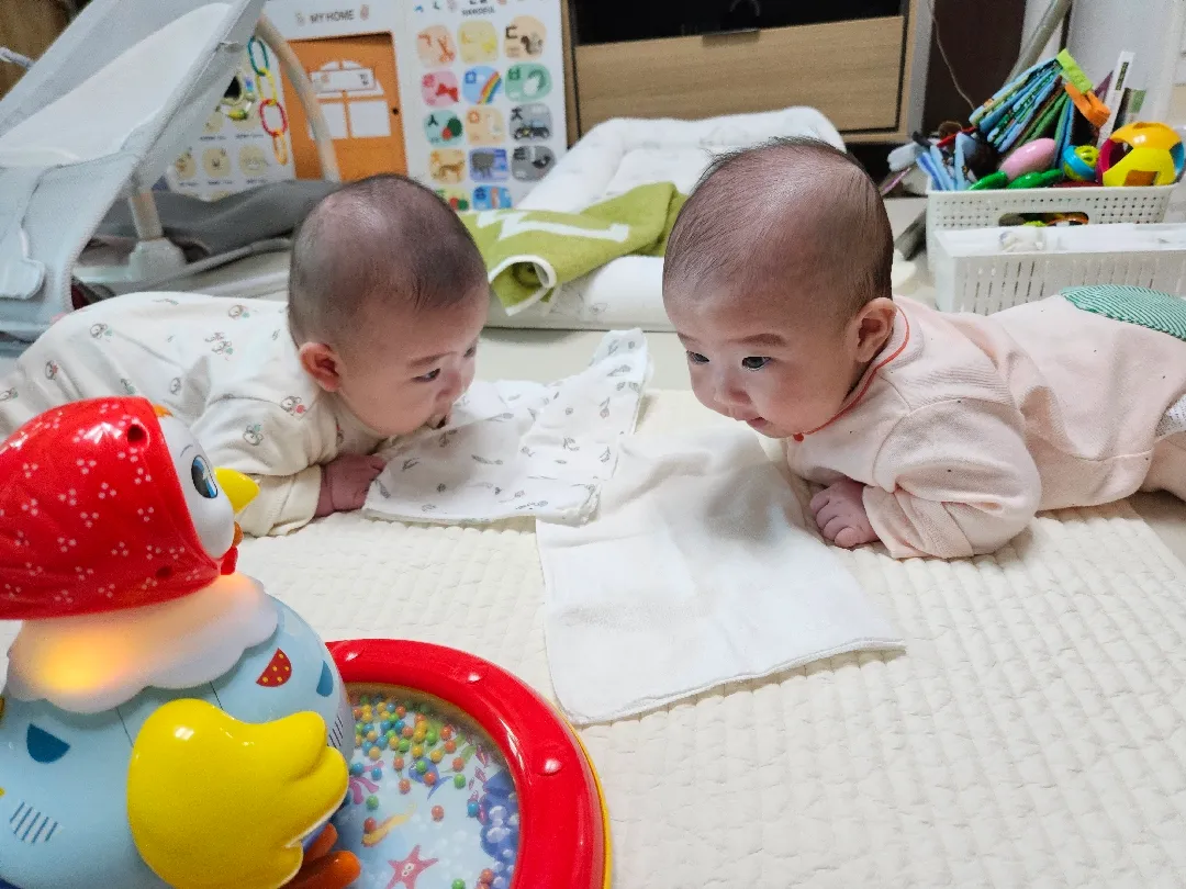 쌍둥이 터미타임^^