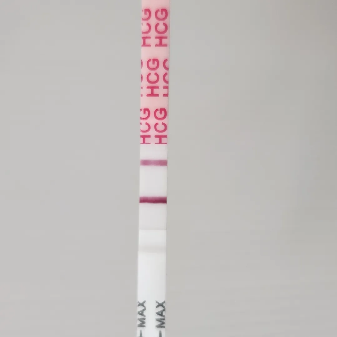 역전하면 난황 볼 수 있나요?