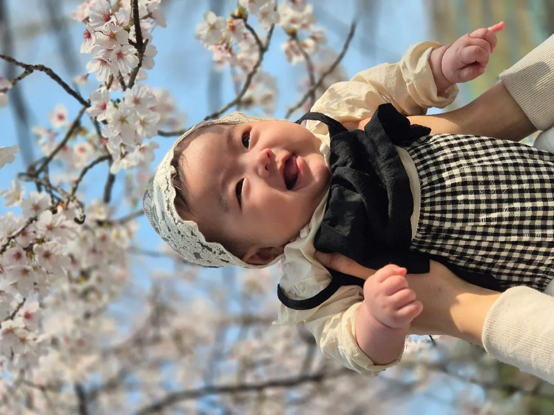 저도 꽃놀이 스을쩍 다녀왓습니다!🌸😎
