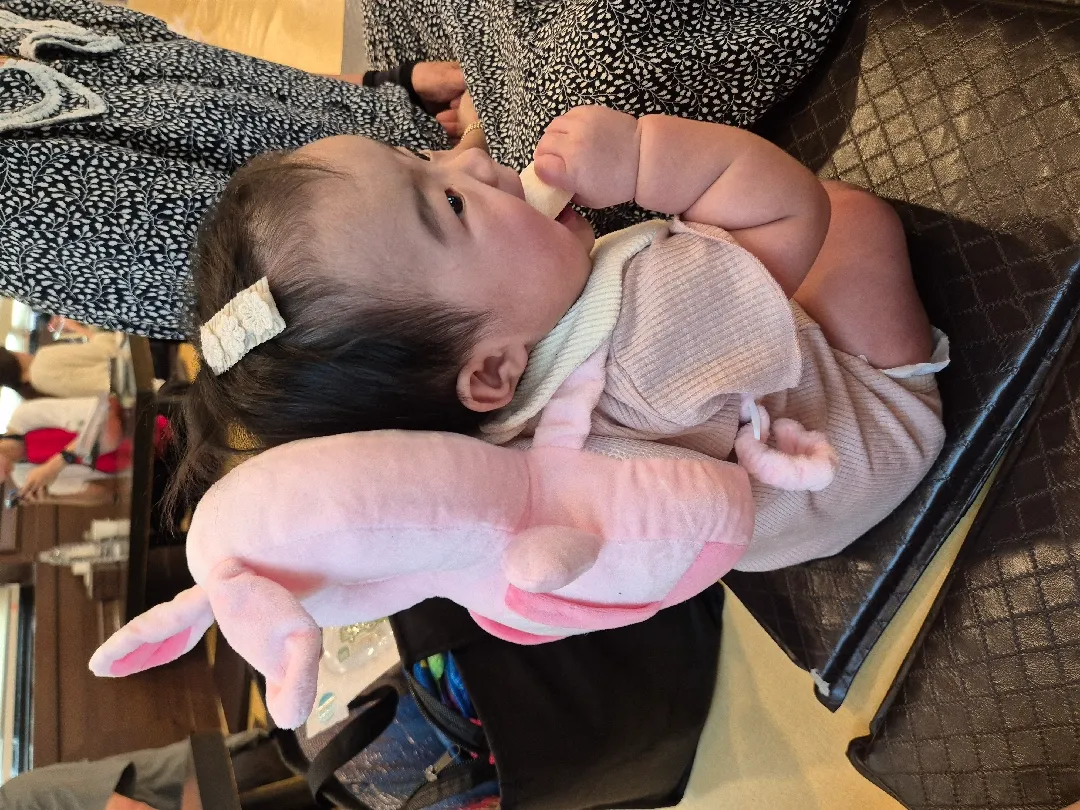 오랜만에 포도네 인사드려오🙇🏻‍♀️